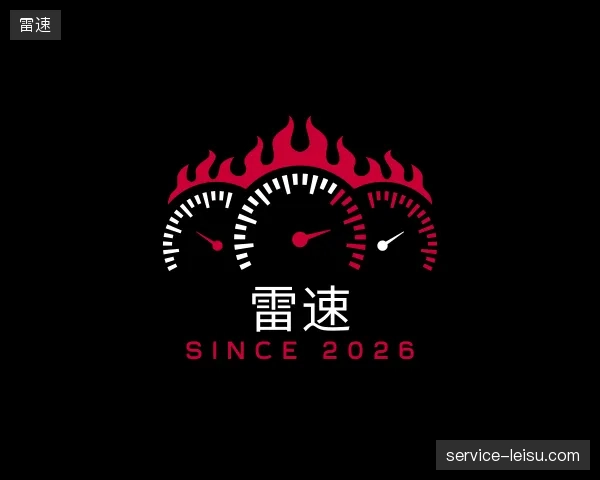 介绍雷速集团